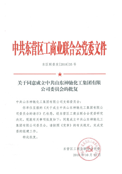 成立新党委，适应新时期，开启新征程，书写新篇章